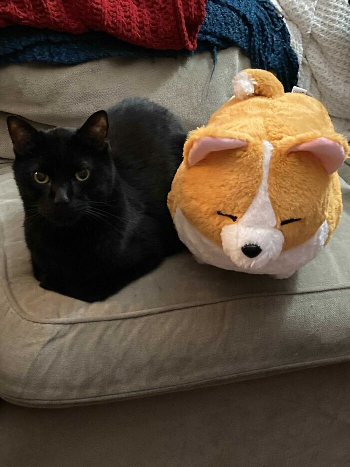 During Covid, We Find Friends Where We Can.