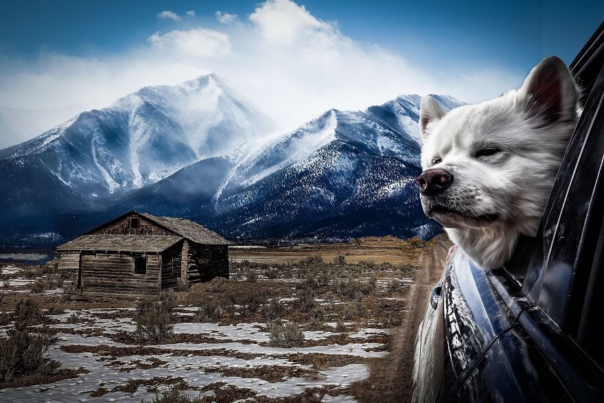 Carl At The Schoolhouse