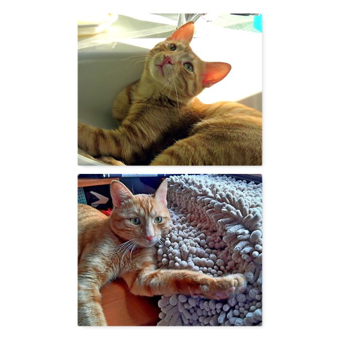 From 2018 To 2020, The Same Cute Face ❤