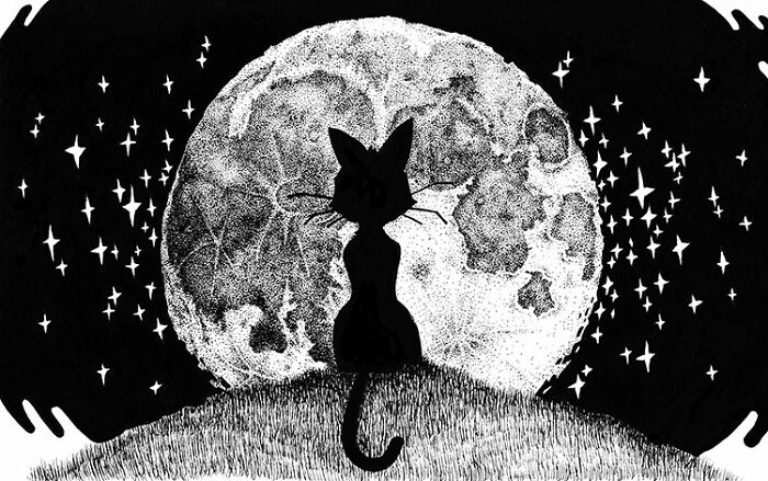 Black Cats And Full Moons Are Spoopy, Right?