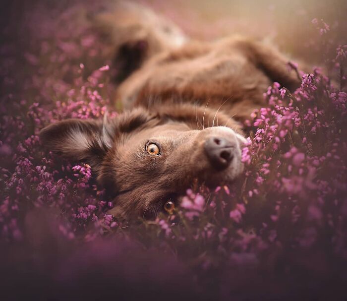 One Way Ticket To Paradise - I Will Take You On A Little Journey