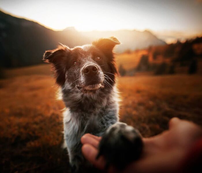 One Way Ticket To Paradise - I Will Take You On A Little Journey