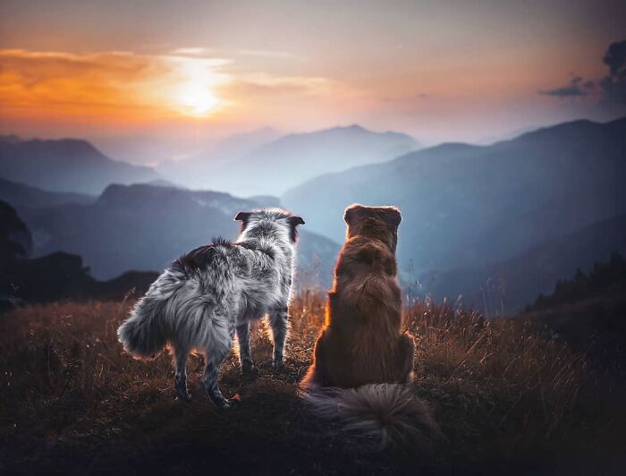 One Way Ticket To Paradise - I Will Take You On A Little Journey