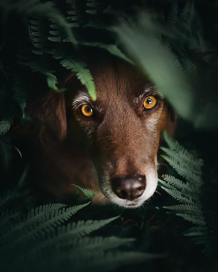 One Way Ticket To Paradise - I Will Take You On A Little Journey