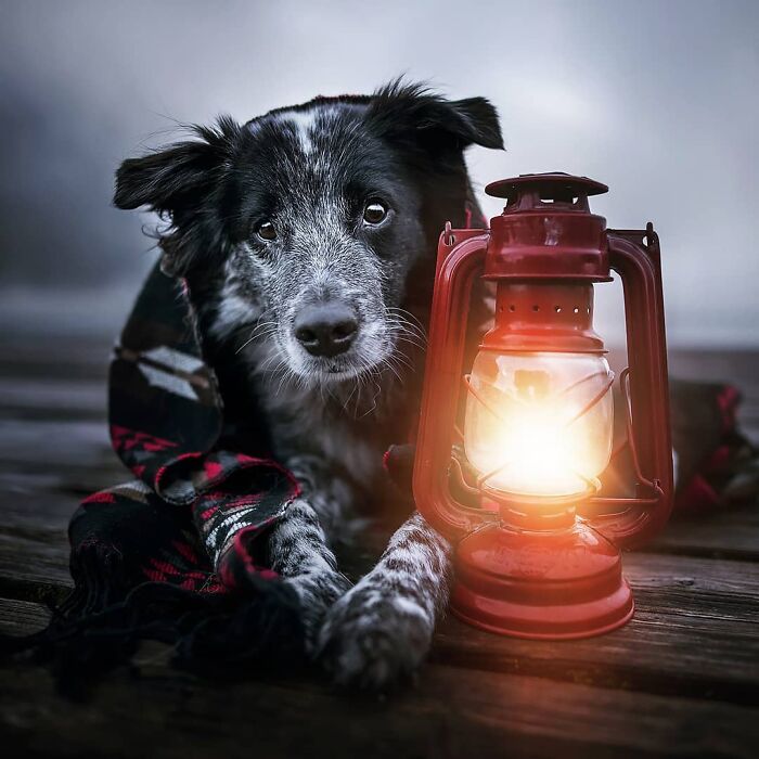 One Way Ticket To Paradise - I Will Take You On A Little Journey