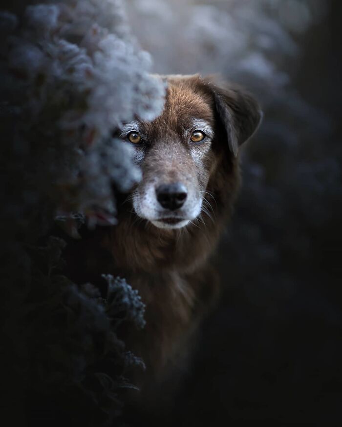 One Way Ticket To Paradise - I Will Take You On A Little Journey