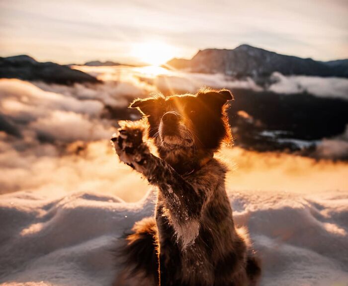 One Way Ticket To Paradise - I Will Take You On A Little Journey