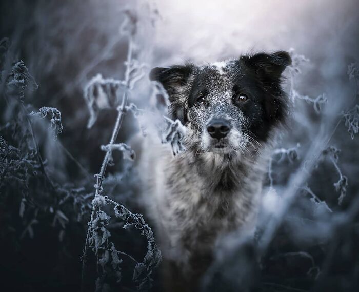 One Way Ticket To Paradise - I Will Take You On A Little Journey