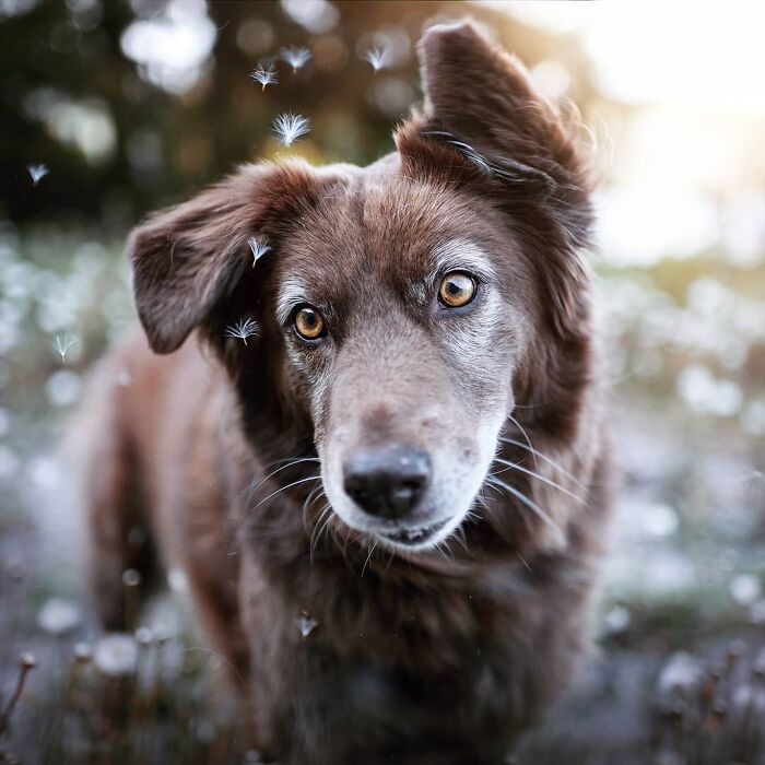 One Way Ticket To Paradise - I Will Take You On A Little Journey