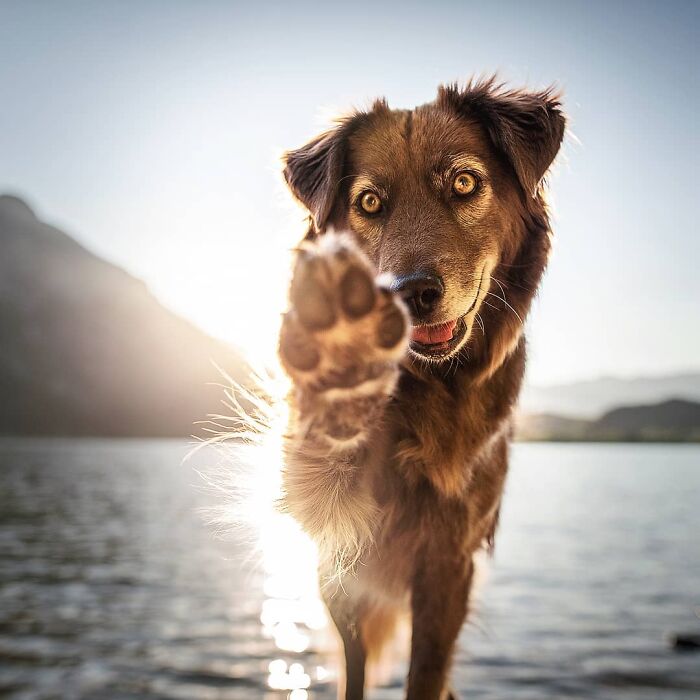 One Way Ticket To Paradise - I Will Take You On A Little Journey