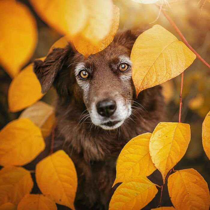 One Way Ticket To Paradise - I Will Take You On A Little Journey