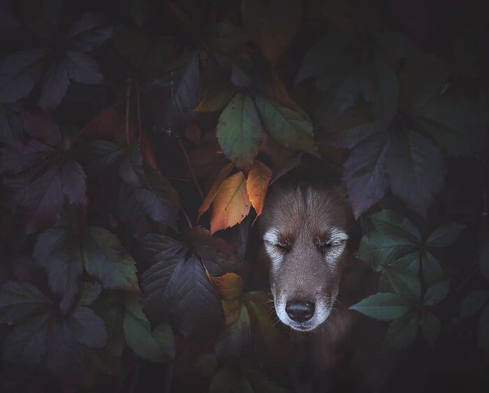 One Way Ticket To Paradise - I Will Take You On A Little Journey