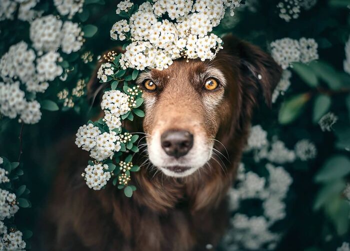 One Way Ticket To Paradise - I Will Take You On A Little Journey