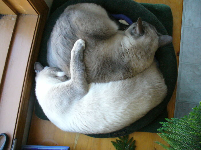 Little Miss Adventure Snuggling Up To Big Brother.