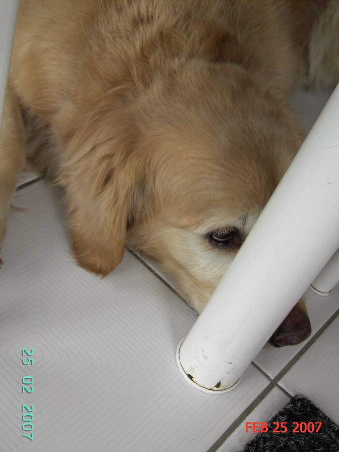 This Is How She Used To Play Hide And Seek Doggy Style. If I Can't See You, You Can't See Me