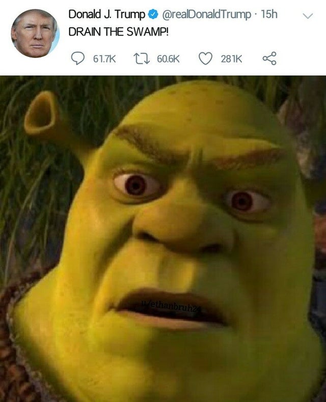 Put Shrek Memes Here