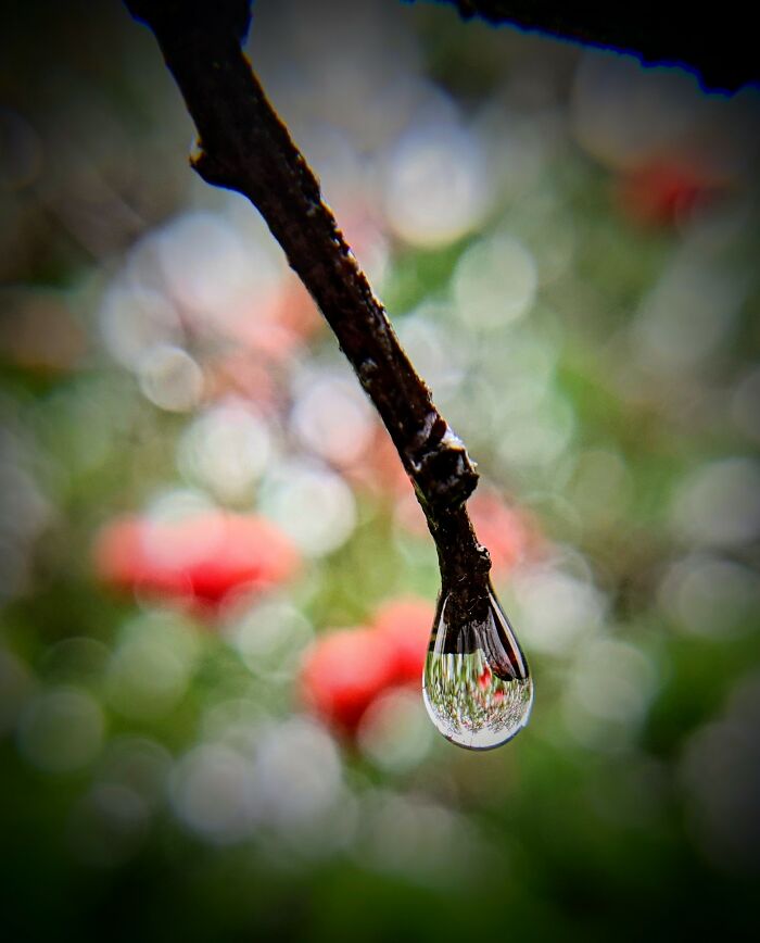 Water Droplet
