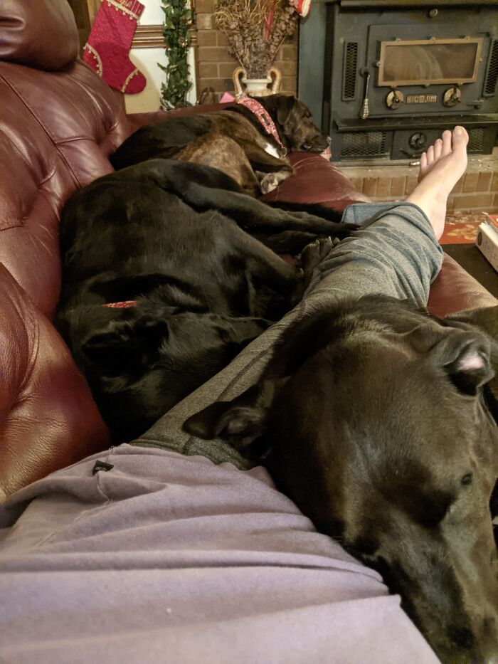 Telling Me I Need A Bigger Couch!