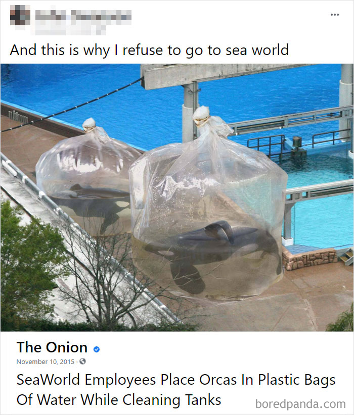 One Of The Many Reasons To Hate Sea World
