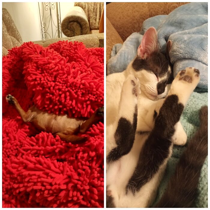 Maybe It's The Couch?