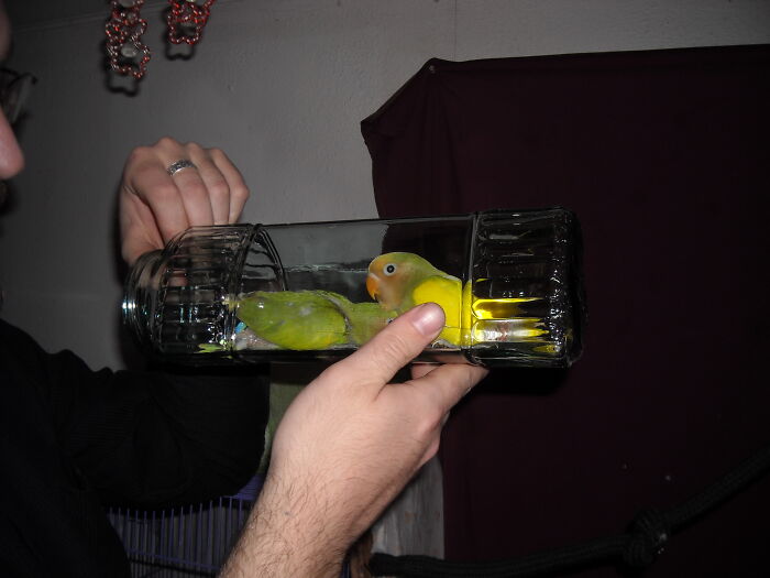 Same Lovies Inna Jar