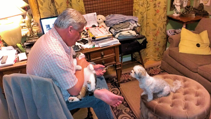 Whatcha Doing? (Cutting The Cats Claws)