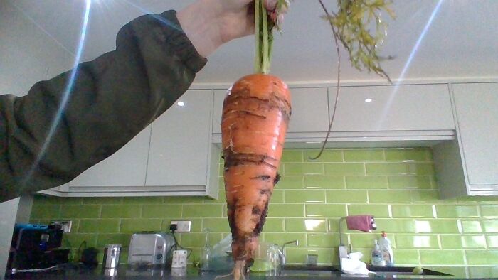 Found In The Ground In January!