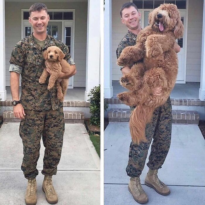 Pandas, Post A Picture Of When You Got Your Pet And Now (Closed)