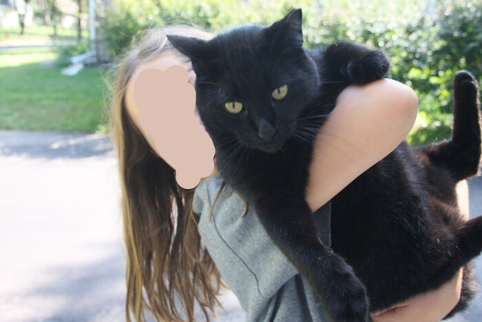 Pandas, Post The Strangest Picture Of Your Pet (Closed)