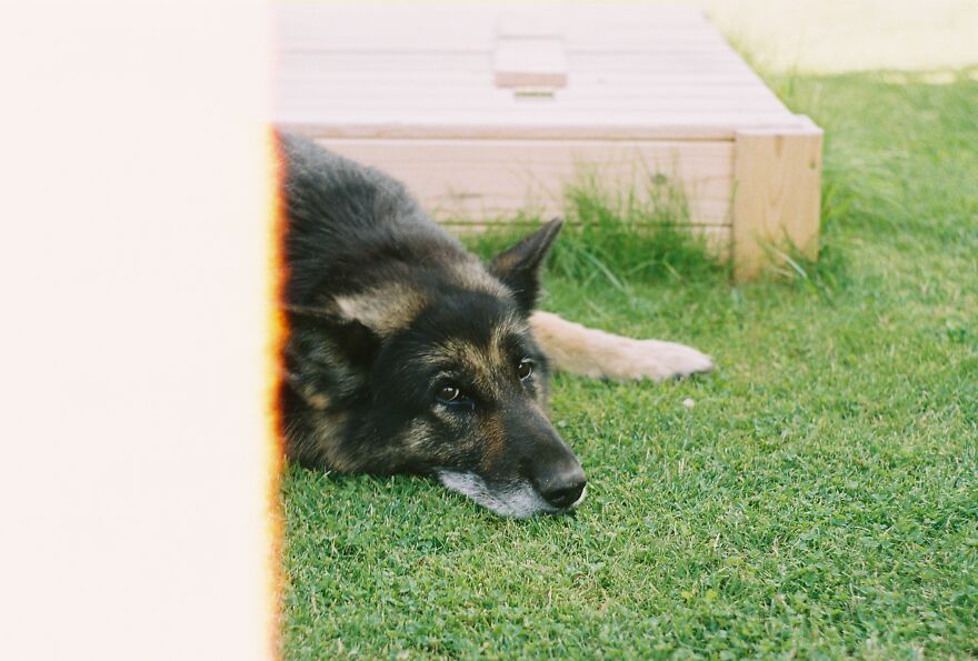 Her Name Is Morka (Carrot In Lithuanian)