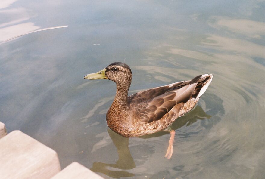 This Cutie Was Captured With Zenit-E