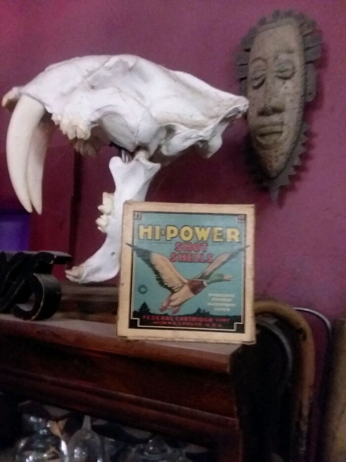 Replica Sabertooth And Shot Gun Shells