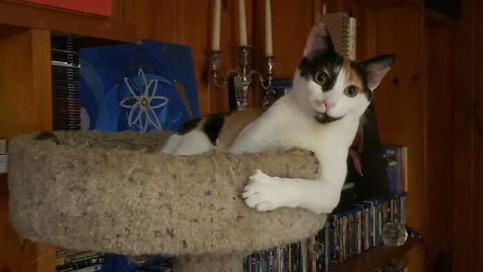 I've Been Waiting For You All Day! -Roxy