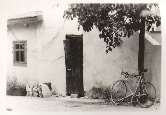 A Picture I'm Proud Of - Taken On Film With Olympus Om-2n Camera And It Was The First Ever Photo I Manually Hand Printed On Paper With A Photo Enlarger