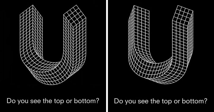 Brain-Bending 3D Schr&ouml;der Staircase Optical Illusion Won Best Illusion of The Year 2020 Contest