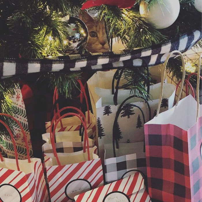 That's A Funny Looking Ornament