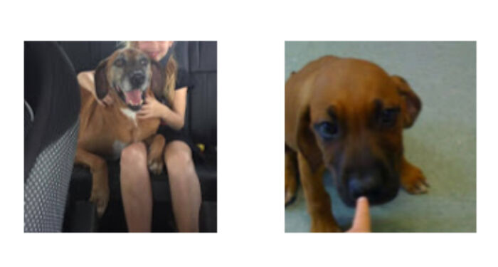 The Finger In The Second Photo Was Me (1 Yr) Picking Him From The Shelter