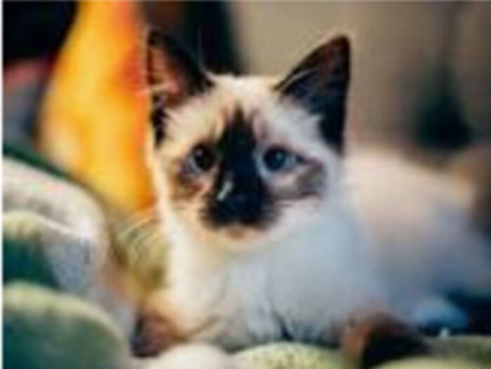 I Know Sofia When She's Happy!