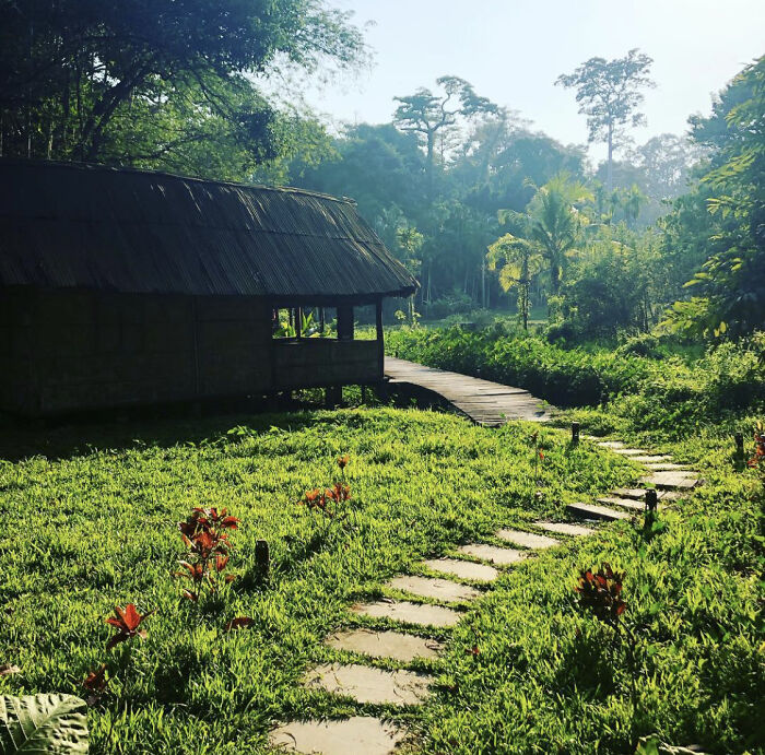 Ecoresort On A Paddy Plantation, Andaman Islands