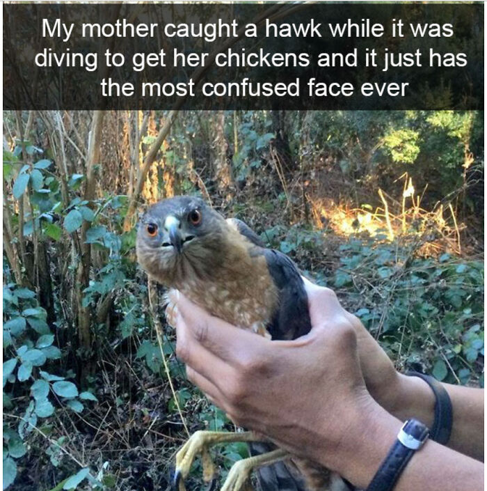 "Wtf Man I Had Them!"