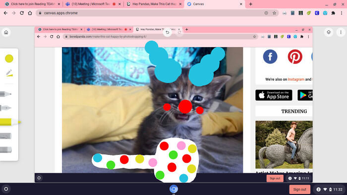 Meet Clowny From Piggy Roblox. You Know How No One Knows What Animal He Is? Ya... He's A Cat!