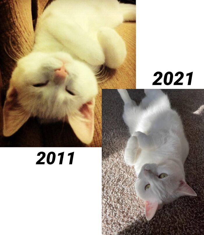 Squishy Lily Loaf Baby 2011 And Ten Years Old 2021. Check Her Out On Instagram!