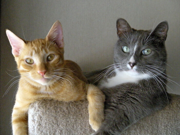 Squeaky P And Tj Sharing The Tower