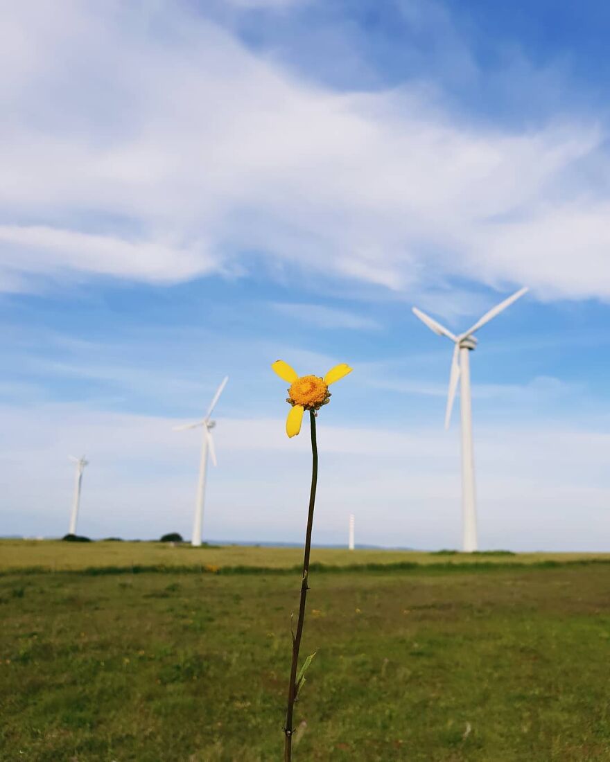 The Images Of This Artist Will Stir Your Mind