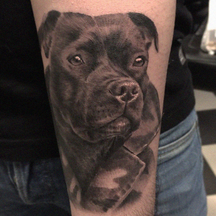 Black and gray realism tattoo of a dog on a person's forearm by a Swedish artist.