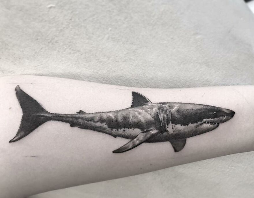 Shark tattoo on arm showcasing Swedish artist's black and gray realism.