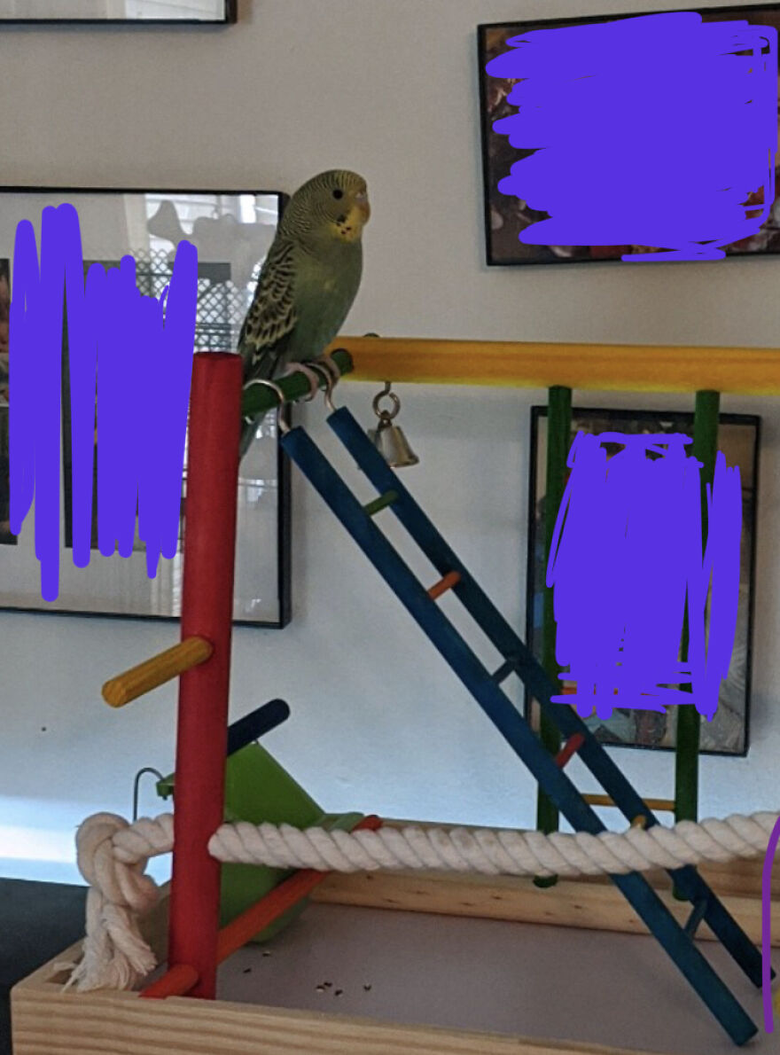 Thought You Guys Might Like Some Cute Animals :) Thought You Guys Might Like Some Cute Animals :)