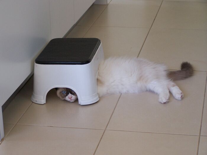 Nobody Can See Me Here...