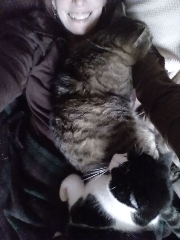 My Big Grey Cat Loves To Snuggle Me, And His Brother Has No Problem Just Laying On Both Of Us. Then The Phone Rings....