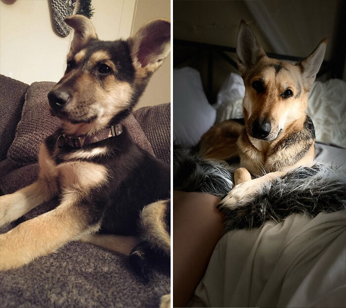 Baby Girl And Now. Sorry, Could Figure How To Post Two Photos At Once..